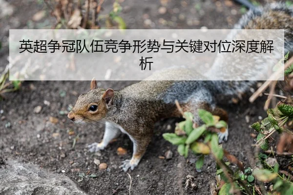英超争冠队伍竞争形势与关键对位深度解析